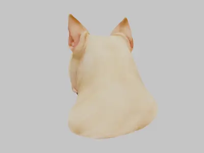 Pitbull Terrier Dog Head Bust Low-poly 3D model