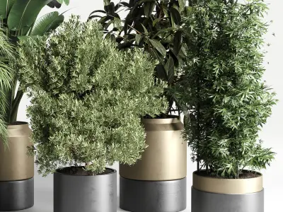  plant ficus rubbery ravenala plam bamboo metal dirt vase 3D model