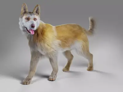 Fur Big Dog Yellow Rigged Low-poly 3D model