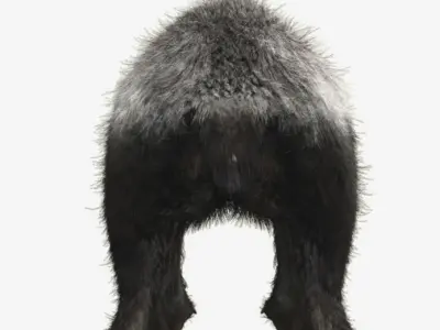 Honey badger with realistic fur Low-poly 3D model