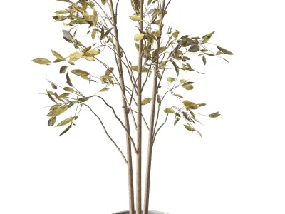 Decorative Set 18 3D model order