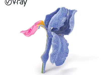 Pink Iris Flower Sculpture model pack Low-poly 3D model