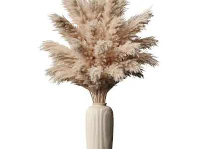 Pampas in pot 3D model