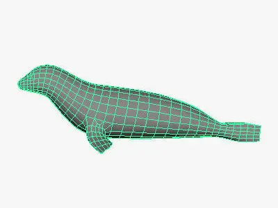 Low Poly Seal Low-poly 3D model
