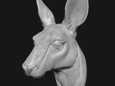 kangaroo 3D print model