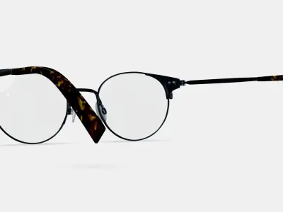 Patel Eyeglasses in Brushed Ink 3D model