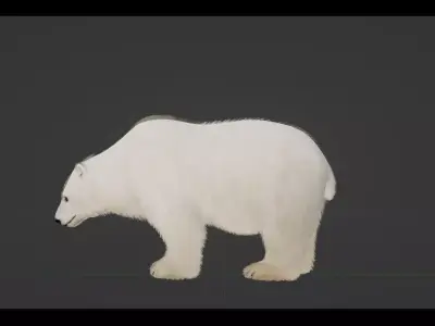 Polar Bear Low-poly 3D model 4