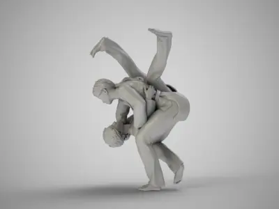 Judo Training 3D print model