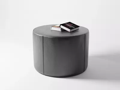 Mono Pouf Free 3D model