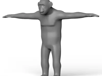 Chimpanzee Base Mesh Low-poly 3D model