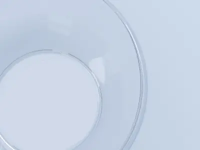 Glass Bowl 3D model