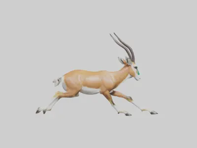 Springbok running model 3D model