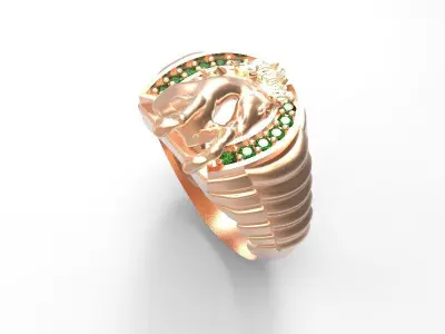 Anillo Herradura 3D model