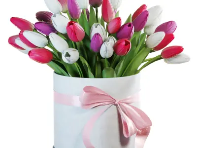 Flower Set 21 - Pink and White Tulips Bouquet 3D model