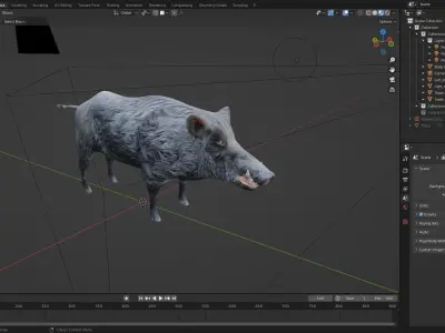 Fur Black Wild Boar Rigged V08 in Blender  Low-poly 3D model