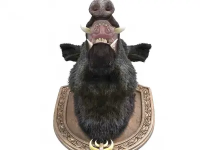 Wild boar head trophy 3D model