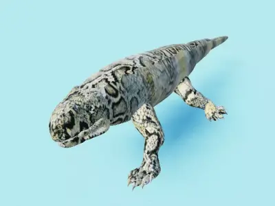 lizard model Low-poly 3D model