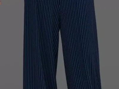 Pants Palazzo Free 3D model