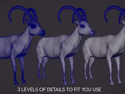 IBEX MODEL - VFX SIMULATION READY 3D model