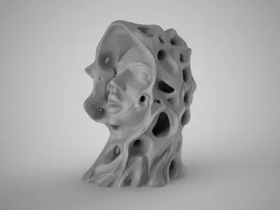 Abstract Woman Face 3D print model