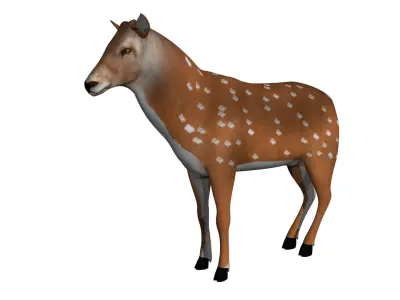 Deer Rigged and Animated 3D model