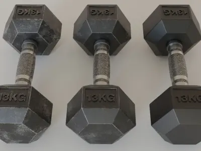 Hex Dumbbell 13 kg 3D model