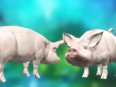 3DRT - Pig  Low-poly 3D model