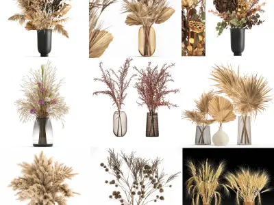 Collection of bouquets of dried flowers 30 pieces  3D model