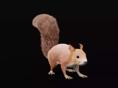 Red Squirrel Low-poly 3D model