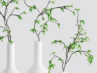 The branches in the vases - 5 models 3D model