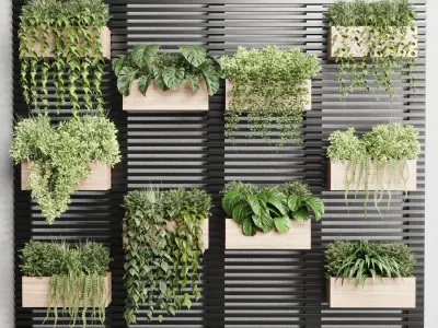 plants set partition Vertical graden wall decor box Low-poly 3D model