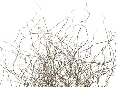 Dried branches with concrete vase  bouquet 21 3D model