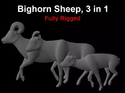 Bighorn Sheep 3 in 1 Male Female Kid Low-poly 3D model