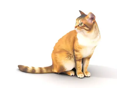 Ginger Tabby Cat model pack Low-poly 3D model
