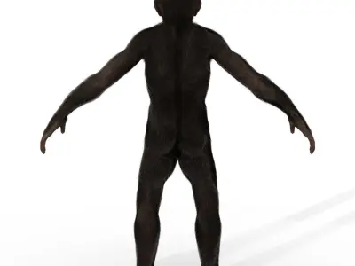 Low Poly Monkey Ape Chimp Chimpanzee Primate Early Man Low-poly 3D model