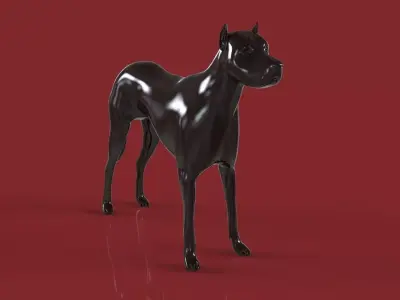 Dog For IVO ALBERTI Free 3D model