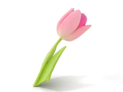 Pink Tulip model pack Low-poly 3D model