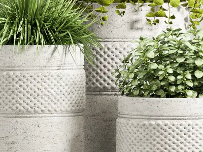 Decorative plant set-61 3D model