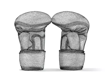 Boxing Gloves 3D model