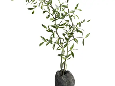 bouquet 3D model 4
