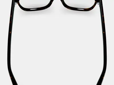 Hector Eyeglasses in Whiskey Tortoise 3D model