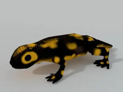 Salamander gecko Low-poly 3D model