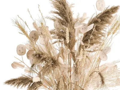 Bouquet of dried flowers in a glass vase 126 3D model