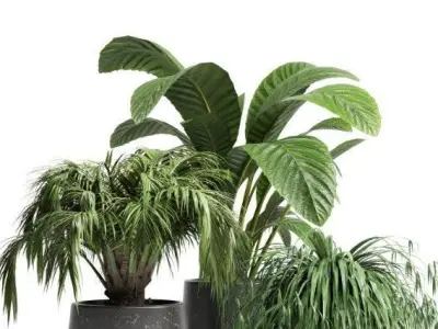 Indoor plant 22 Low-poly 3D model