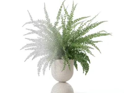 Fern in modern flower pot 3D model
