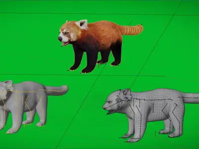 Lesser Red Panda Low-poly 3D model