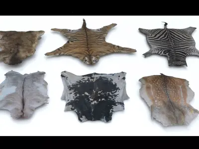 animal pelts volume two Unreal and Unity Low-poly 3D model