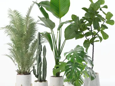 20 Photorealistic Flowers for Interiors - set 122 123 124 128 3D Model Collection