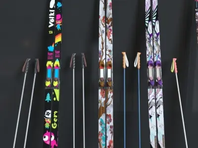 Ski and Ski Pole 3D model