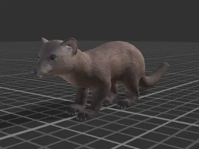 Marten  Low-poly 3D model